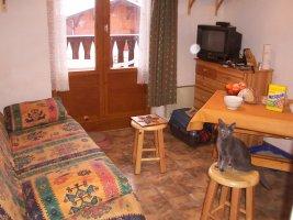Location Praz sur Arly :